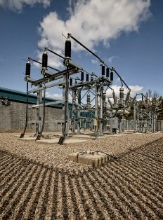 Dalkia is set to sell renewable electricity generated by burning waste wood to the National Grid